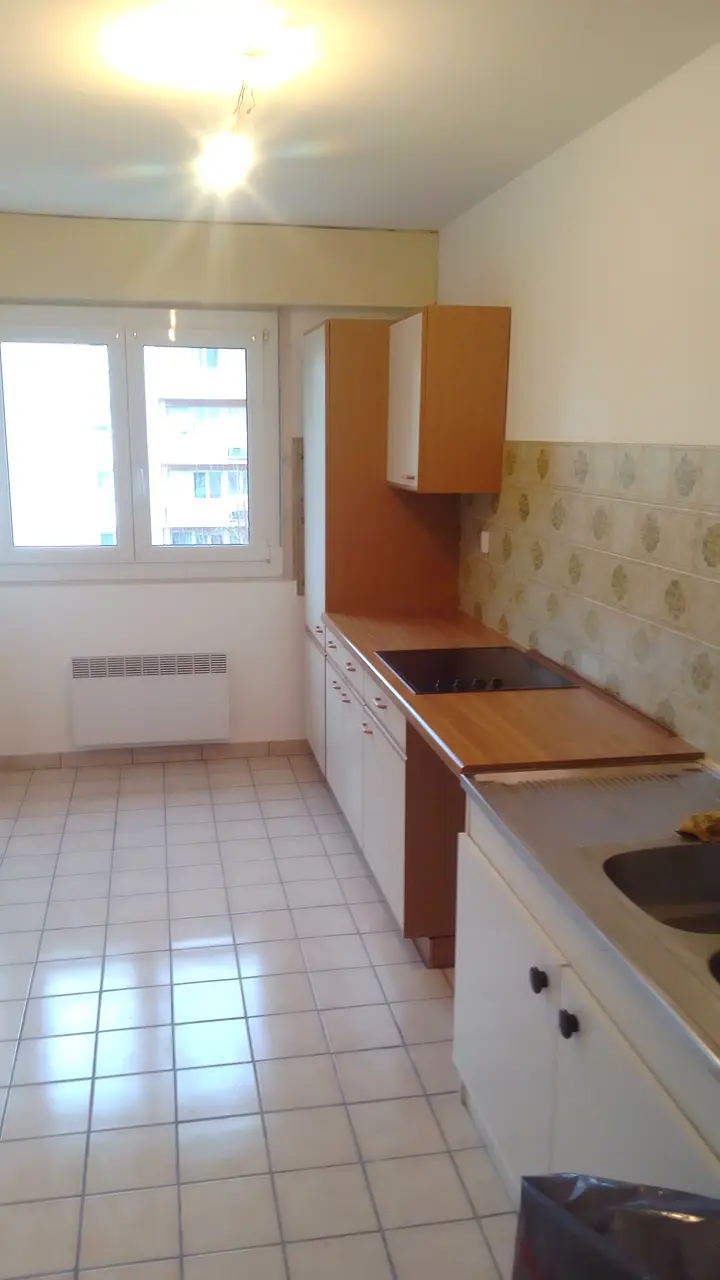 Appartement non meublé de 53.0m2 - 723€ - Bischheim