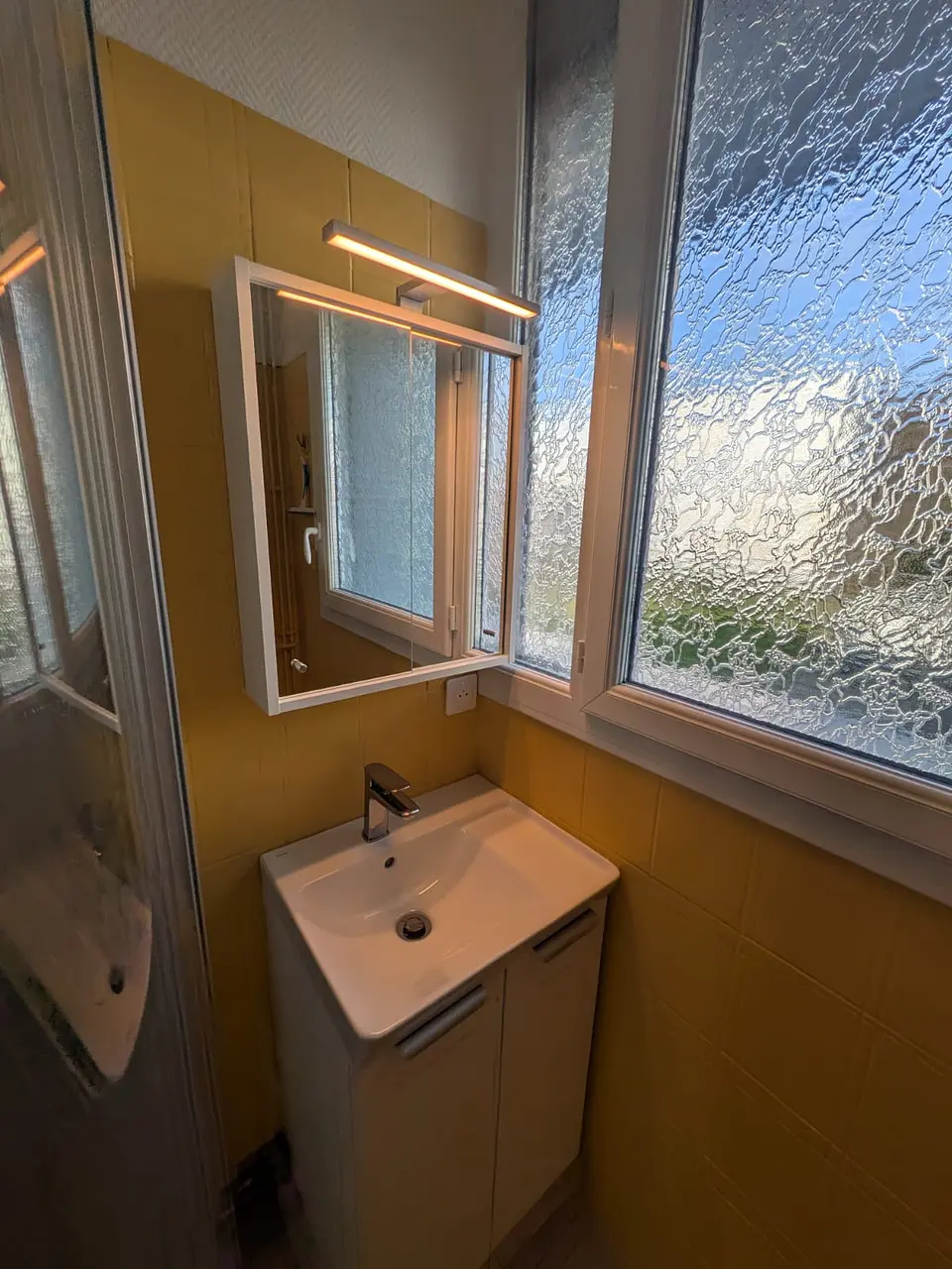 Chambre dans appartement 