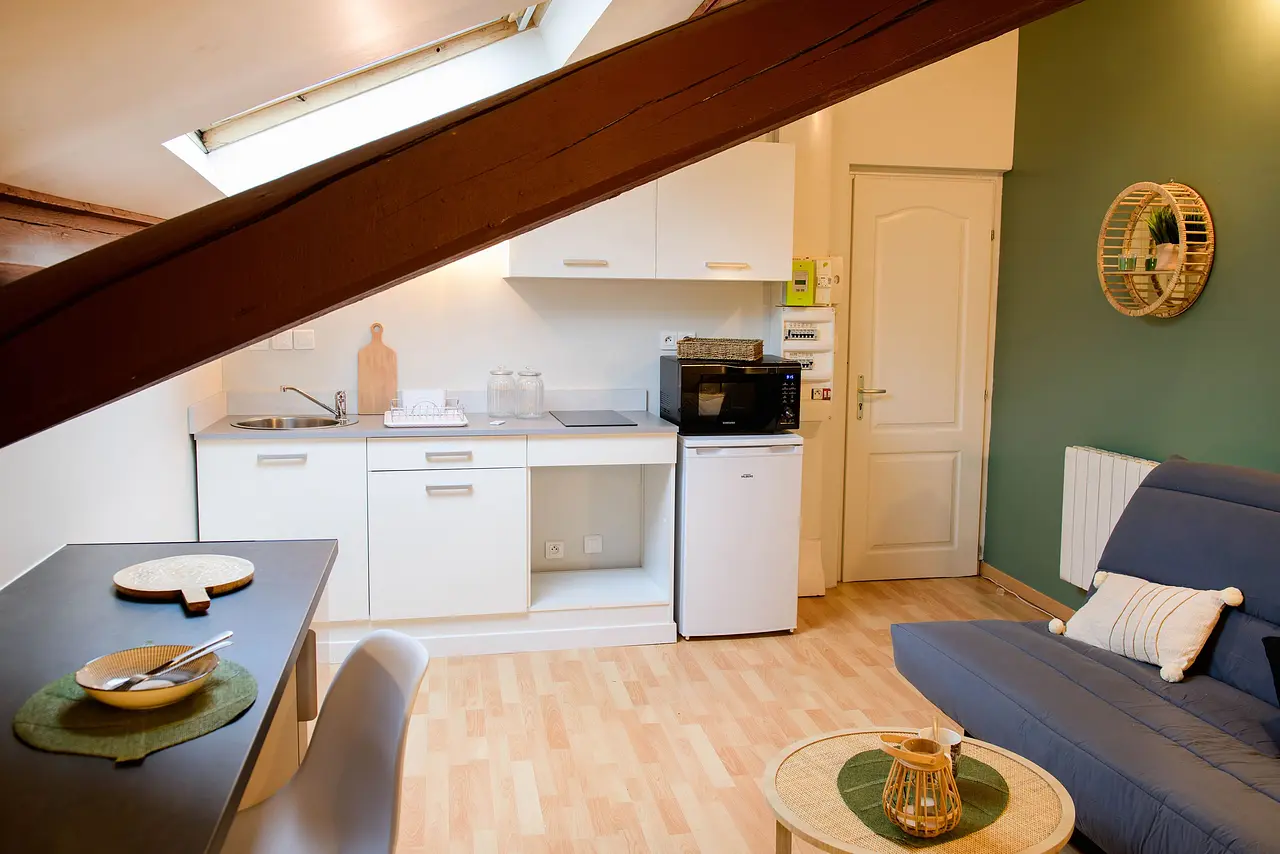 Appartement meublé de 39.87m2 - 517€ - Saint-Étienne