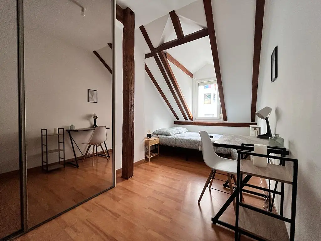 Colocation Metz gare (1 minute des quais)