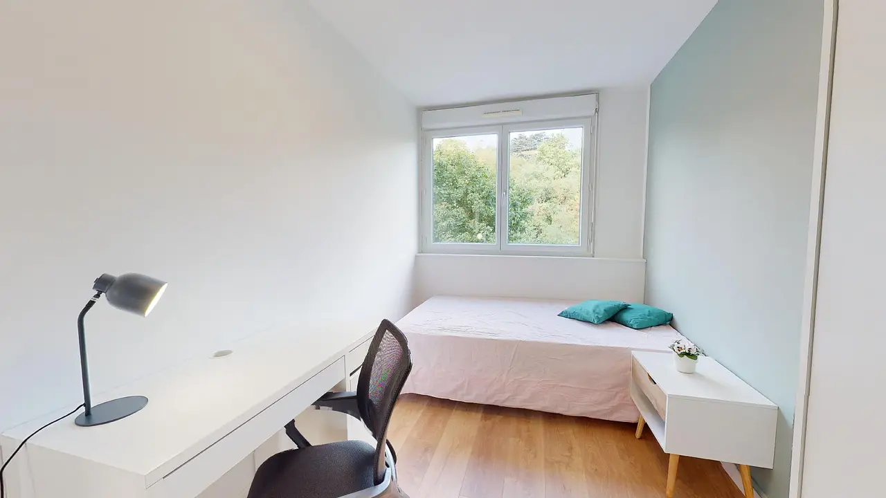 Colocation meublée de 87.5m2 - 503€ - Lyon