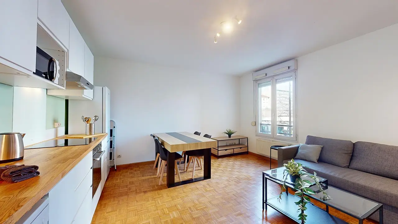 Appartement meublé de 54.39m2 - 1080€ - Lyon