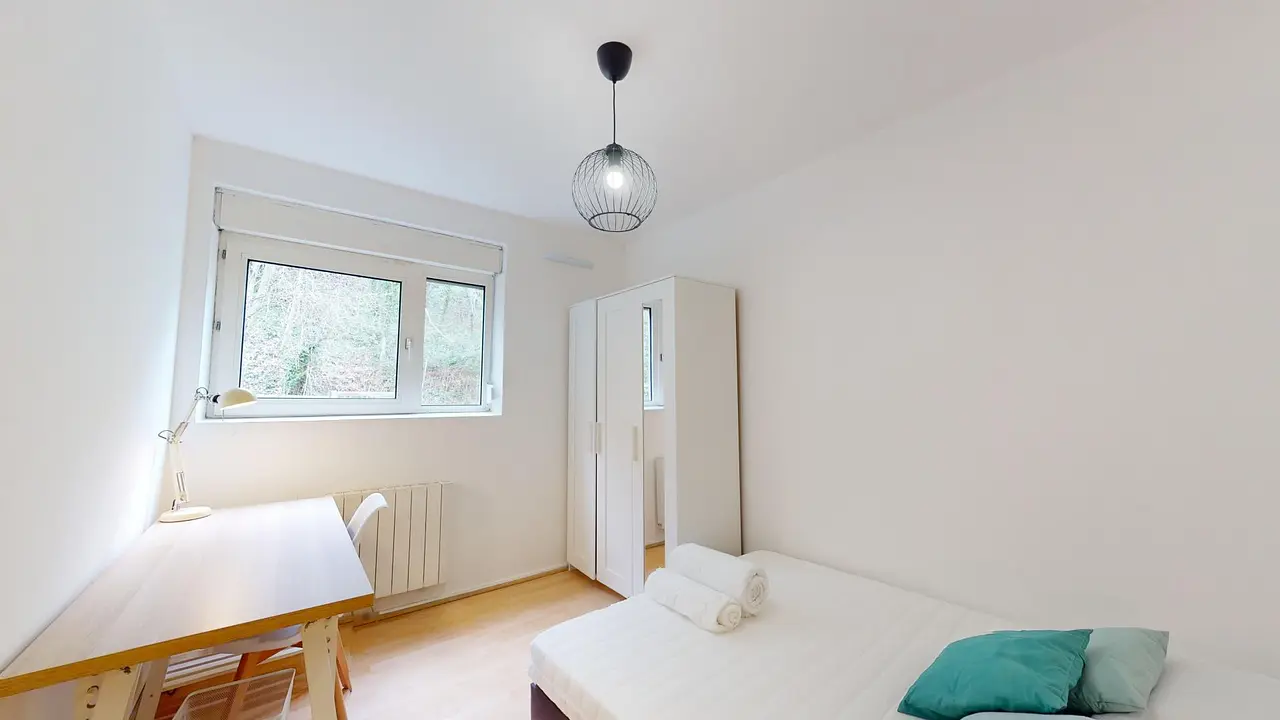 Colocation meublée de 77.0m2 - 500€ - Lyon