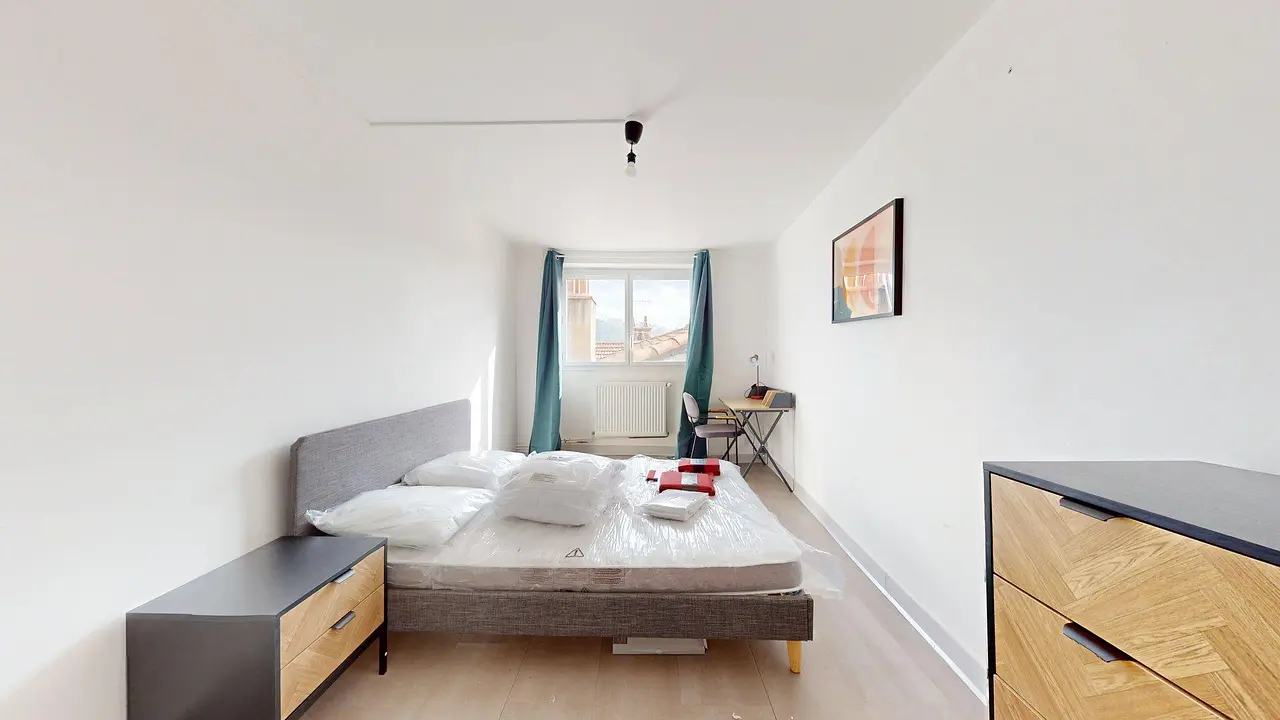 Colocation meublée de 74.25m2 - 350€ - Saint-Étienne