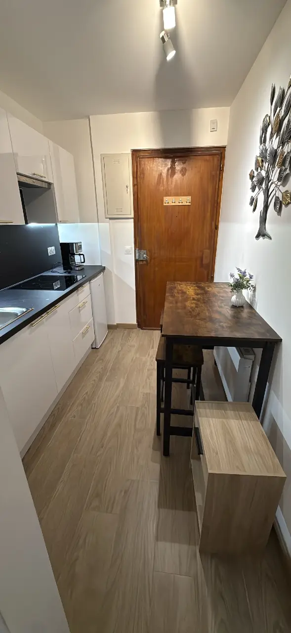 Appartement meublé de 21.69m2 - 1025€ - Gaillard