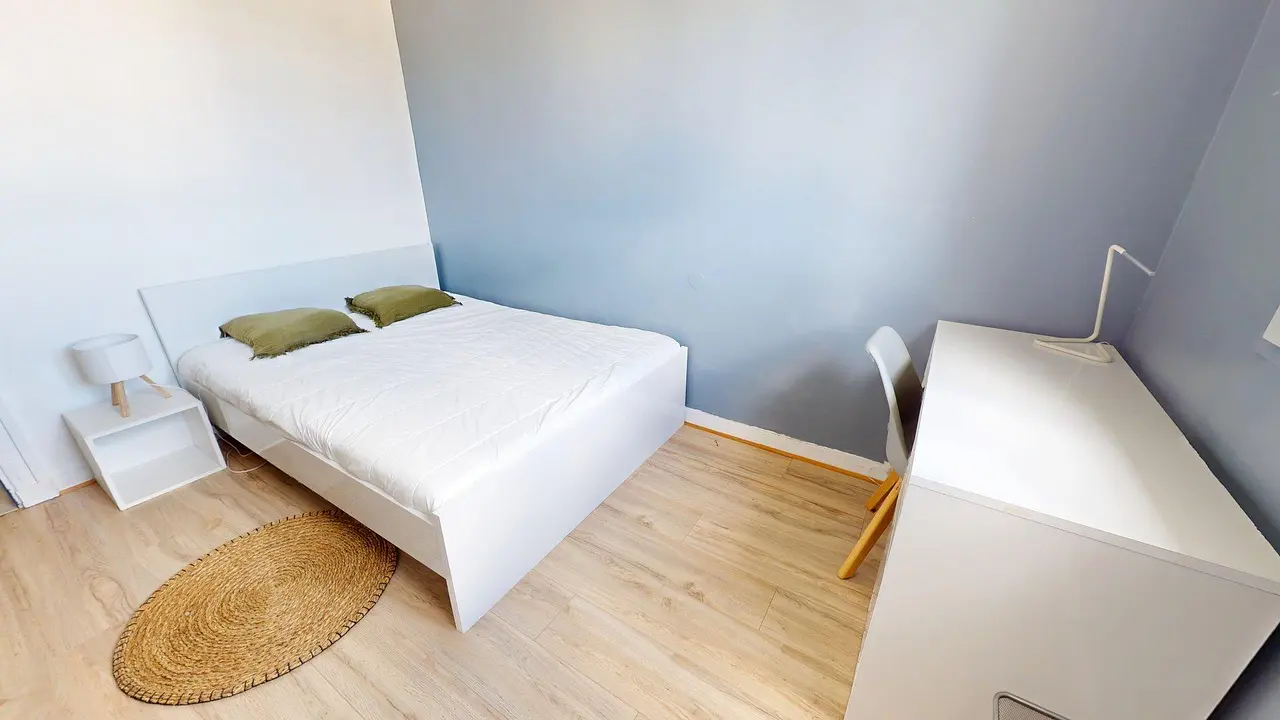 Colocation meublée de 64.0m2 - 300€ - Saint-Étienne