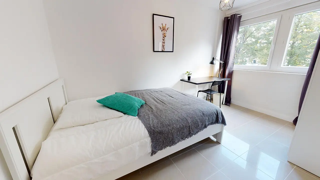 Colocation meublée de 66.0m2 - 551€ - Villeurbanne