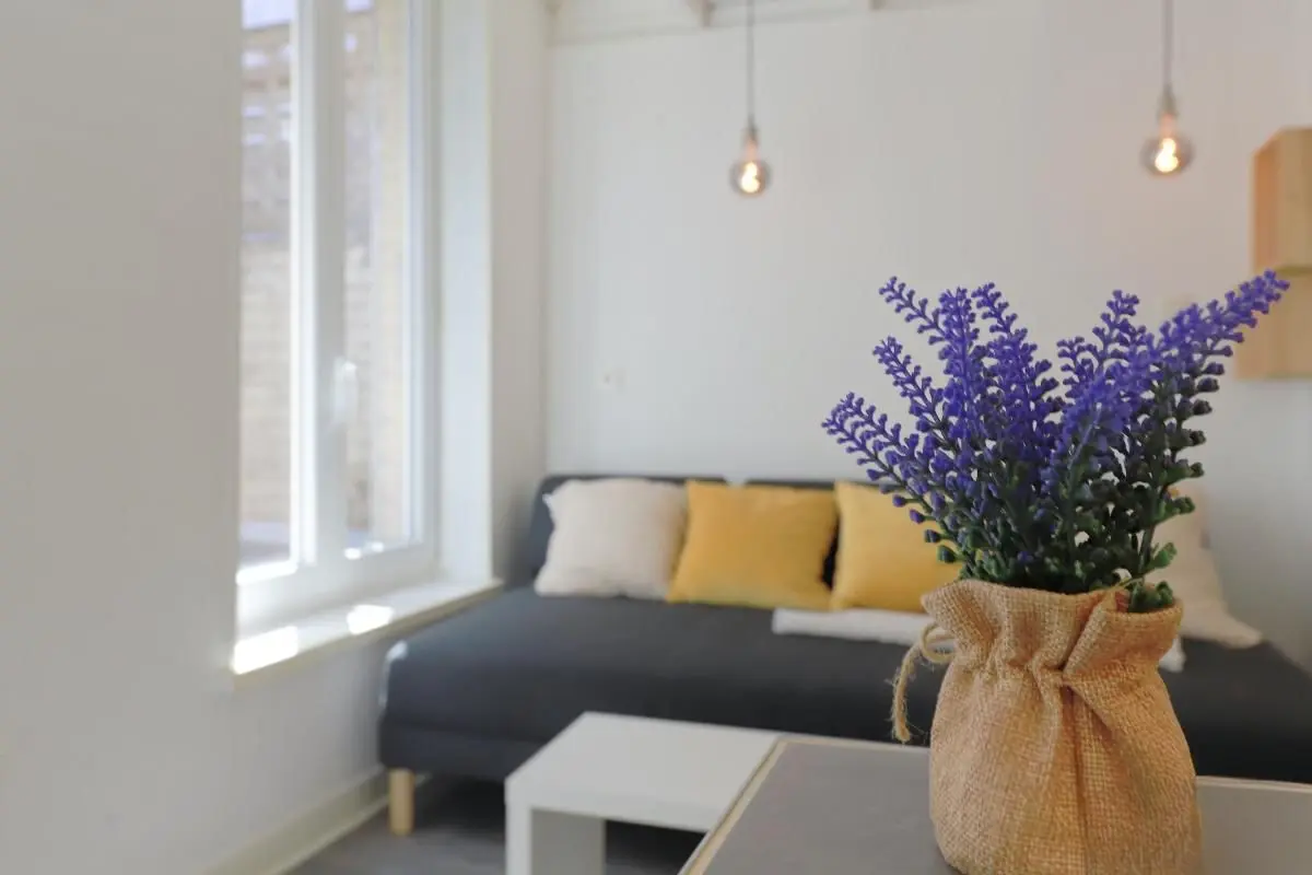 Appartement meublé de 19.0m2 - 559€ - Lille