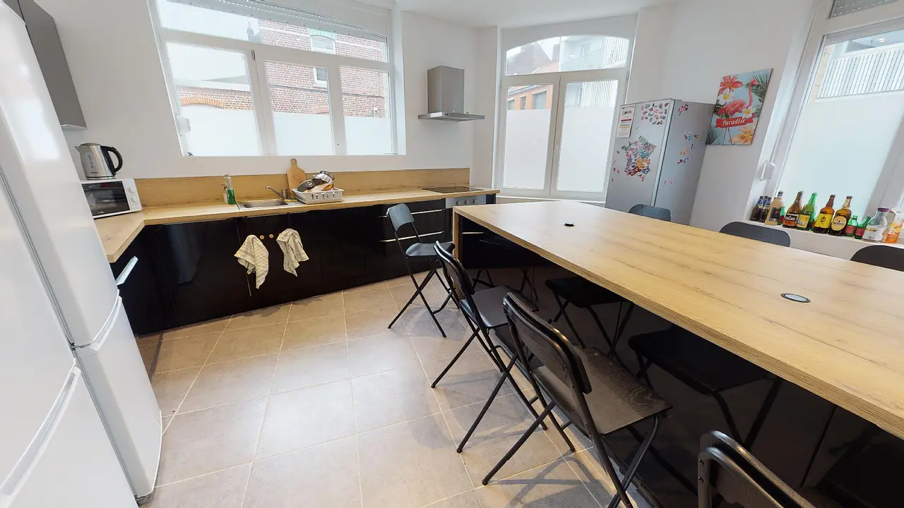 Colocation meublée de 243.0m2 - 499€ - Lille